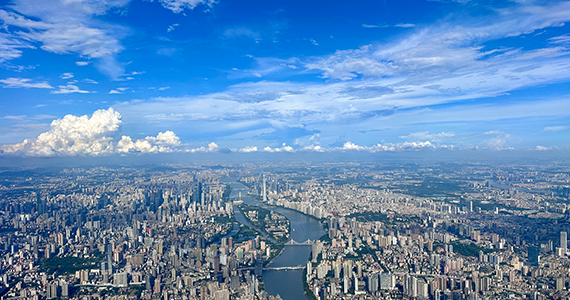 域名whois批量查询器下载