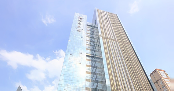 通过WHOIS信息查询查询域名