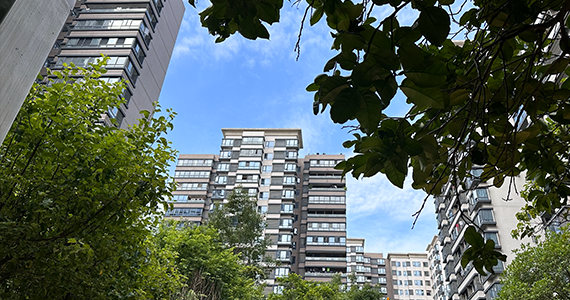 腾讯云域名怎么不让whois查询