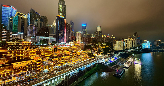 国别域名whois查询