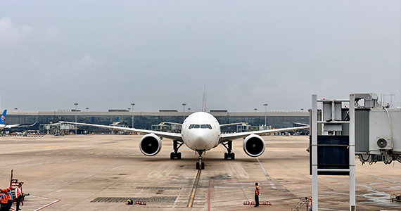 国外域名whois查询