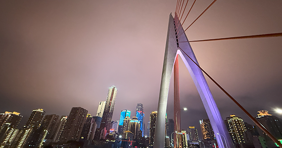 Whois域名信息查询工具