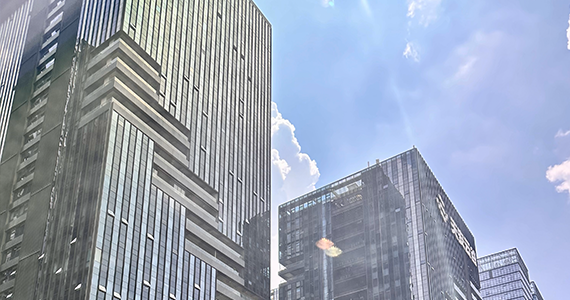 耐思尼克whois域名信息查询