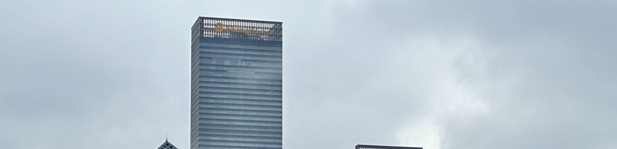 whois域名查询网